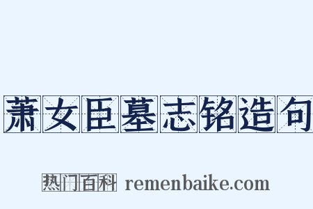 萧女臣墓志铭造句是什么意思的图片